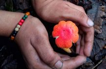 1 Day Private Hiking to Nagarjun, Kathmandu