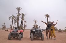 Enjoy a thrilling camel ride through the Palm Grove of Marrakech