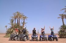 Enjoy a thrilling camel ride through the Palm Grove of Marrakech