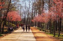 Panoramic City Tour Tirana