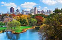 Private Central Park Walking Guided Tour 
