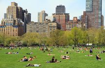 Private Central Park Walking Guided Tour 