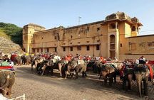 Private 13 Day Rajasthan Heritage Tour With Taj Mahal & Delhi