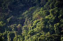 El Chocoyero El Brujo Nature Reserve Hike from Managua