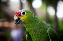 El Chocoyero El Brujo Nature Reserve Hike from Managua