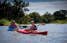 Las Isletas 2-Hour Kayak Adventure in Granada with Pickup