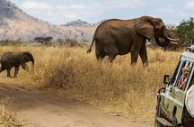 3-Day Masai Mara Luxury Safari on 4x4 Land Cruiser