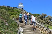 Private Day Tour to Cape of Good Hope Penguins Inc Entry Tickets from Cape Town
