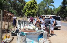 Private Day Tour to Cape of Good Hope Penguins Inc Entry Tickets from Cape Town