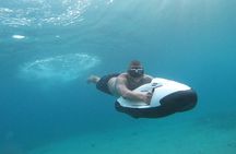 Curaçao Seabob Tour (by Bearded Butlers Curaçao)