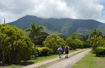 Maderas Volcano Hike at Ometepe Island