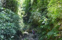 Maderas Volcano Hike at Ometepe Island