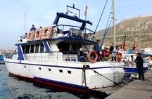 Boat Tours in Agadir lunch including ( sea food )
