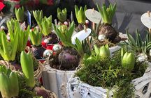 Half-Day Amsterdam Jordaan Private Walking Tour