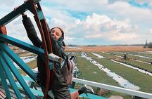 Half-Day Private Guided Sightseeing Tour of Zaanse Schans