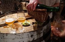 Half-Day Private Walking Tour in Brussels Old City