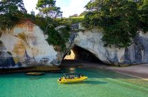 2 Hour Cathedral Cove and Volcanic Coast Cruise with Shade Canopy