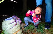 Okinawa Miyako Star gazing and subtropical jungle night tour