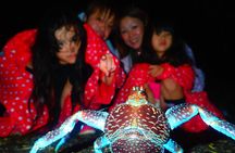 Okinawa Miyako Star gazing and subtropical jungle night tour