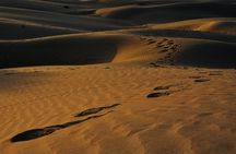 6 Days Rajasthan Desert Private Tour from Jodhpur to Jaipur