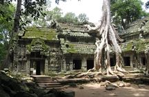 Private Half Day To Jungle Temple-Taprohm & Banteay Kdei Temples