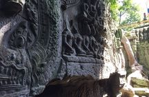 Private Half Day To Jungle Temple-Taprohm & Banteay Kdei Temples
