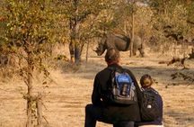 Rhino Walking Safari at Mosi-oa-Tunya National Park