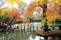 Private Day Tour to Tianping Mountain from Shanghai 