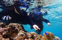 Okinawa Miyako beach SUP or Canoe and sea turtle Snorkeling