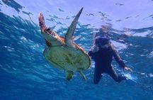 Okinawa Miyako Pumpkin Limestone Caving and Sea Turtle Snorkeling