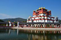 Wuxi Half Day Private Tour to Lingshan Buddhist Scenic Spot 