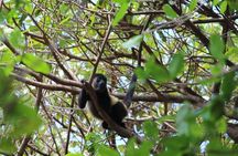 Small-Group expedition of Ometepe Highlights with El Ceibo Museum