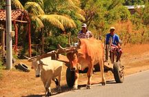 Half-Day Nature expedition at Ometepe Island