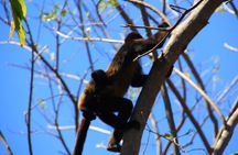 Half-Day Nature expedition at Ometepe Island