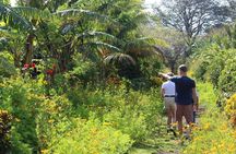 Small-Group expedition of Ometepe Highlights with El Ceibo Museum