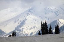 Gulmarg Adventure: A Thrilling Day Trip from Srinagar