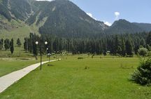 Picturesque Pahalgam: A Memorable Day Trip from Srinagar