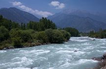 Picturesque Pahalgam: A Memorable Day Trip from Srinagar