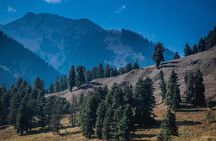 Picturesque Pahalgam: A Memorable Day Trip from Srinagar