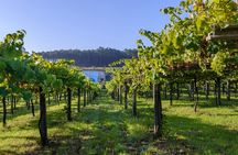 Guided tour of Bodegas Granbazán