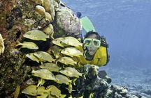 Mayan Adventure from Cancun