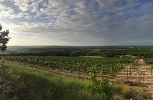 North Texas Wineries & Vineyards Tour & Tastings-6 person minimum