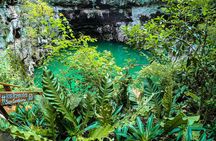 Choose your experience to live in Los 7 Cenotes San Gerónimo