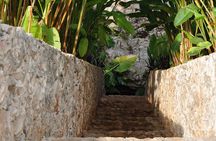 Choose your experience to live in Los 7 Cenotes San Gerónimo