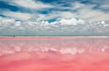 Discover the FABULOUS PINK WATERS in the Caribean