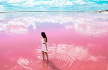 Las Coloradas Tour from Cancun and Playa del Carmen 