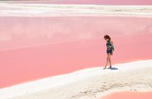 Coloradas Pink Lagoon Adventure from Playa del Carmen and Riviera Maya