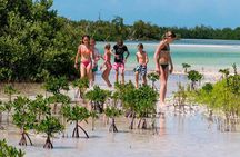 Holbox and Passion Island Full-Day Tour with Cenote, Transportation and Lunch