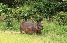 Game Drive in the Mosi-oa-Tunya National Park from Livingstone
