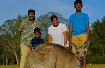 Kangaroos & Koalas in the Wild - Private Nature Experience